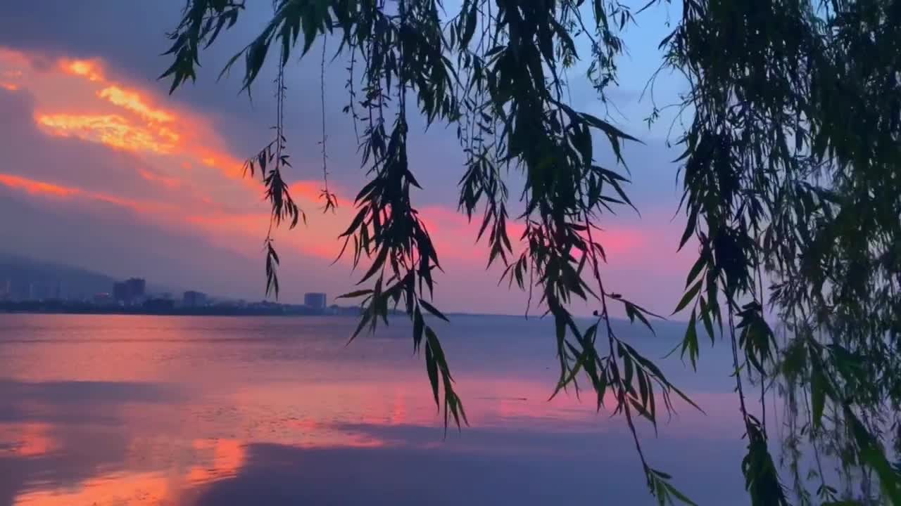 city seaside trees sunset