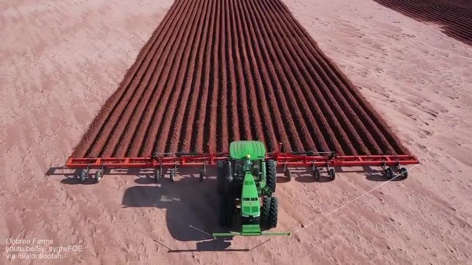 Making beds on a dryland field