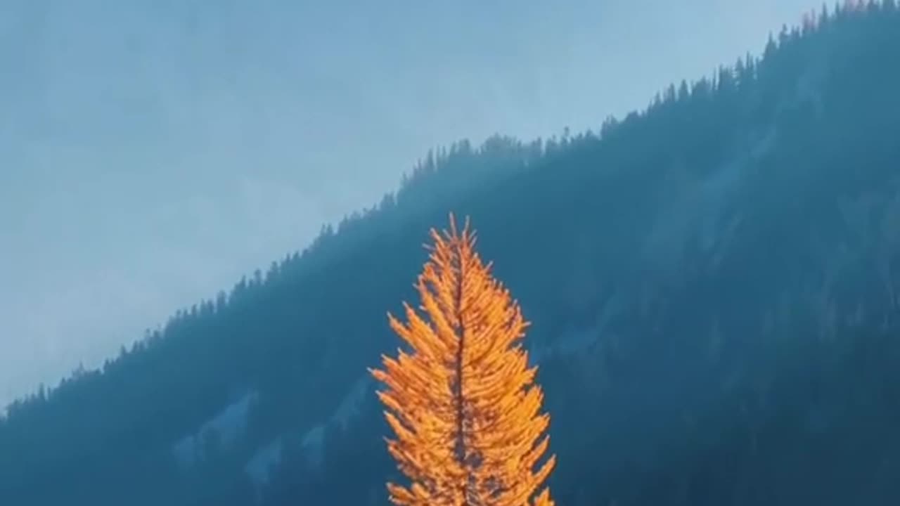 Amazing world