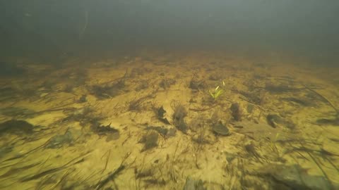 Underwater Adventure