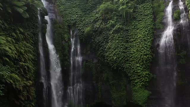 Forest Inside | Peaceful Relaxing Music | Nature Sounds | 4K