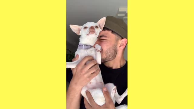 Dog funny moments 🤣🤣