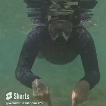 Get ready to be amazed by the beauty of this enchanting starfish! 🌟💖