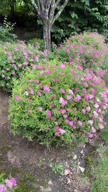 eiMvaTMBakZfwAgc3XiSC7