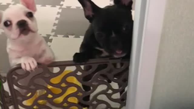 Get out of the way.