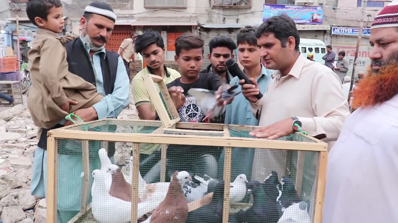 Lalukhait Pigeon Market Video Latest Update