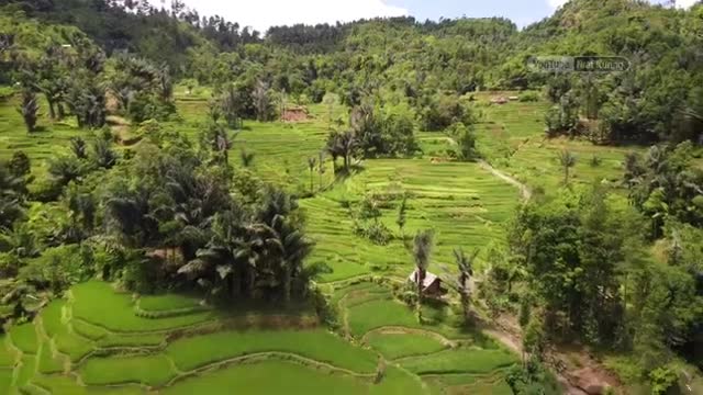 Luar biasa aktivitas warga dikampung indah lereng gunung udaranya sangat sejuk