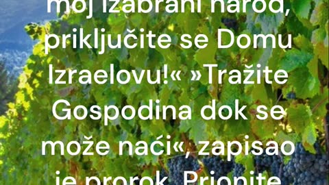 Posao i plaća u vinogradu Gospodnjem