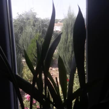 View from the window