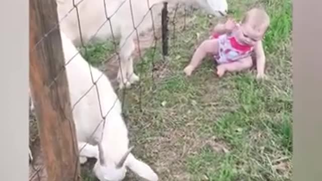 Funny Animal Pranks BabiesFunny Animals Prank Babies - Cutest Babies Videos