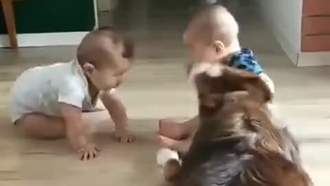 two babies playing with the dog