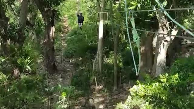 Ziplining Experience