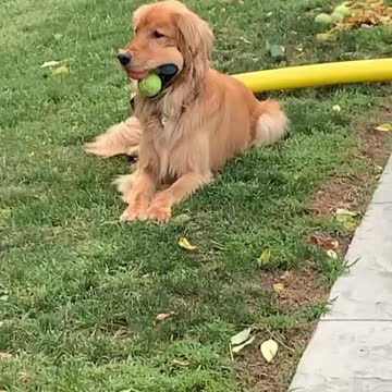 What is he doing????