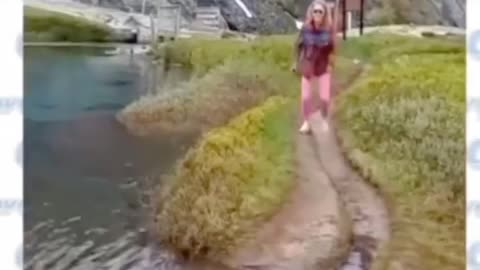 Funny fall