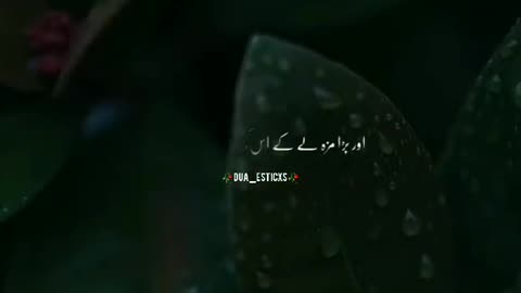 Allah hu akber ♥️