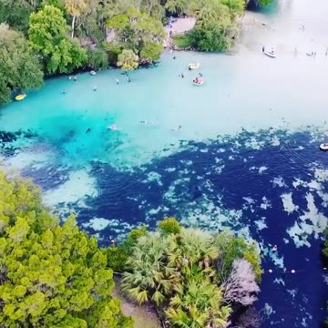 Ginnie Springs. One of Florida's finest natural springs.