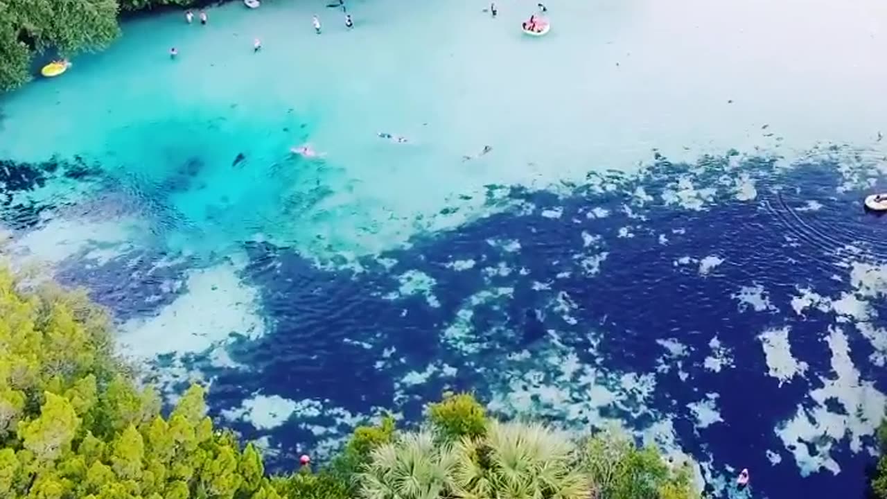 Ginnie Springs. One of Florida's finest natural springs.