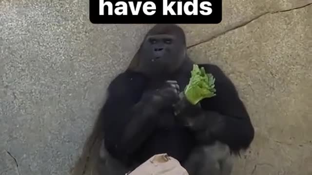 When you're chillin and enjoying life then you remember you have kids
