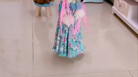 Fashion Show of pets