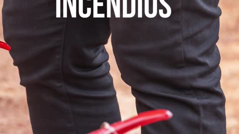 curso incêndios