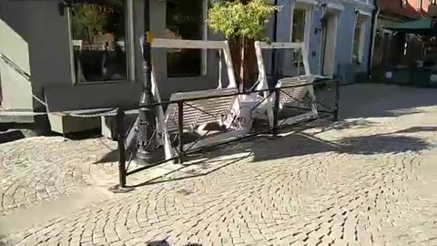 Jordens vänner håller torgmöte. Mariagatan i Helsingborg 6 Sept. 2018