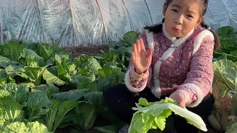 Children love to eat cabbage in winter.