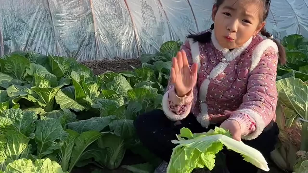 Children love to eat cabbage in winter.