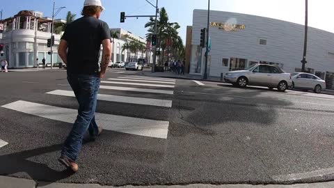 Cross the sidewalk with your pet dog