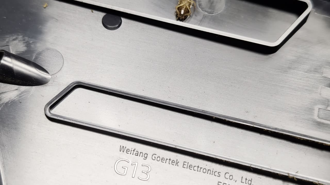 PS5 HDMI Repair Infested By Live Roaches!