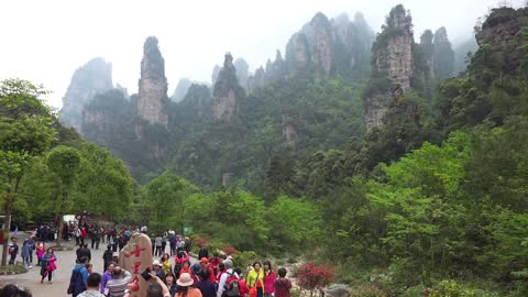 "Avatar" Mountain & Wulingyuan Scenic Area