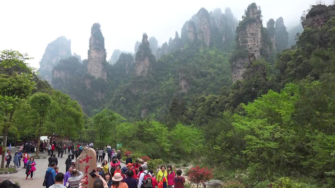 "Avatar" Mountain & Wulingyuan Scenic Area