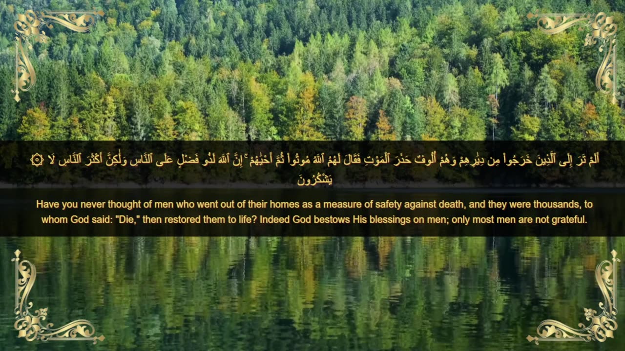 Quranic verses, مقتطفات قرانية, Beautiful Quran, Viral, تلاوة جميلة, القران الكريم, عبد الباسط ,