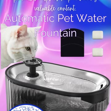 Courage Leads to Greatness