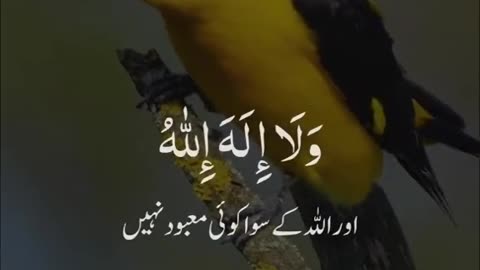 Islamic video