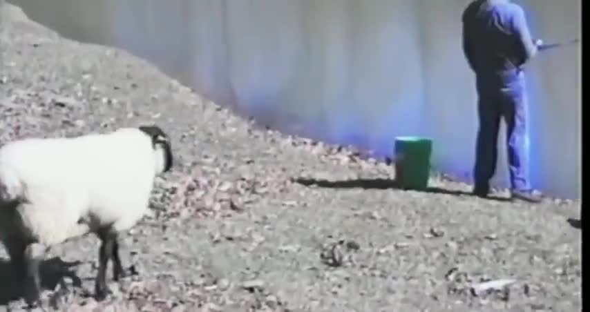 ΤΟΝ ΠΗΓΕ ΚΑΛΗ ΨΑΡΙΑ.