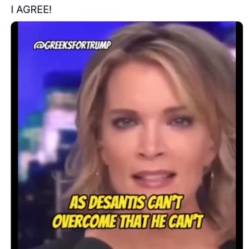 Megyn Kelly: Trump Would Win Against DeSantis