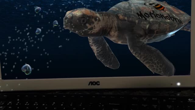 After effects 3d turtle coming out of the screen