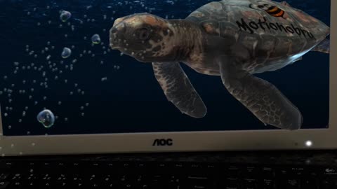 After effects 3d turtle coming out of the screen