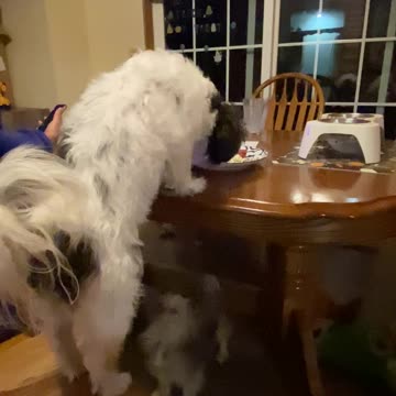 Someone is being sneaky