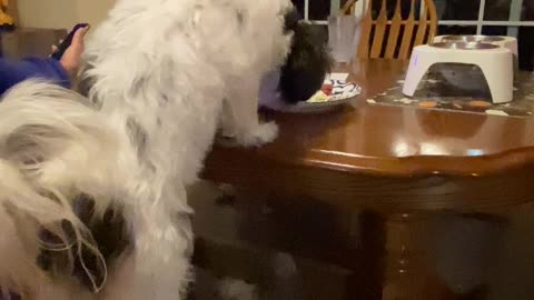 Someone is being sneaky
