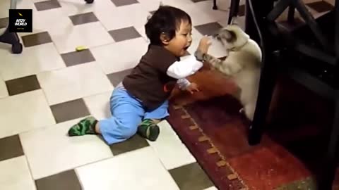 Funny Babies and Animals Video THE BEST Adorable Baby and Animals Compilation-02