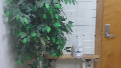 Weird Bathroom Has Odd Decor And Tandem Poop Stations