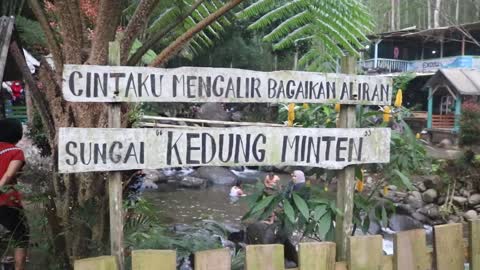In the tropical forest, Indonesia