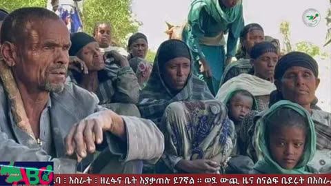 ህዳር 24-2024 ONM-ABO እለታዊ የኦሮሞ ነፃነት ሰራዊትና የኦሮሚያ ውሎ!