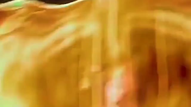 a fenix renasce das cinzas
