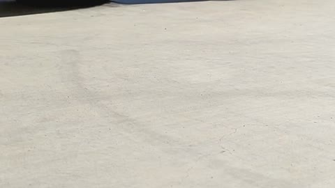 Gravedigger racing under my F-350
