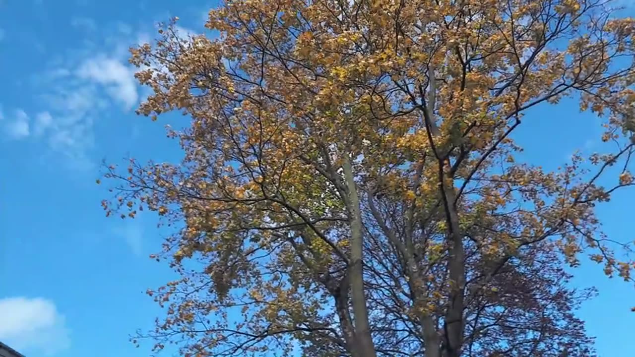 Himmel in Berlin am 30.10.2023 um 13:47 Uhr