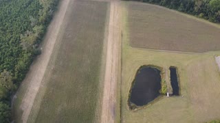 Groom aerial