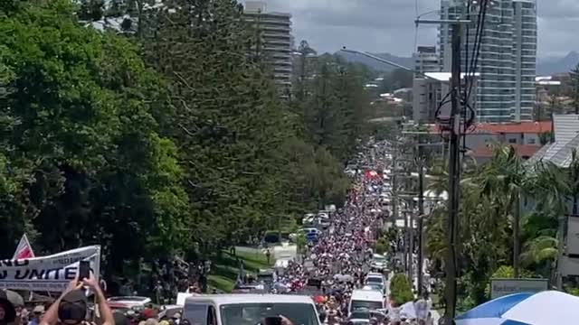 QLD/NSW Border Freedom Protest ~ Huge! ❤️ 12/12/21