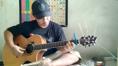 My Heart Will Go On - Celine Dion (fingerstyle cover